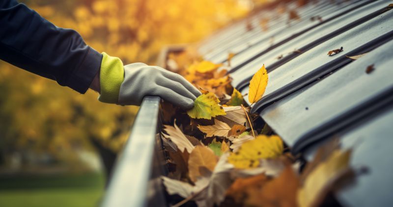 Autumn Gutter Cover Service